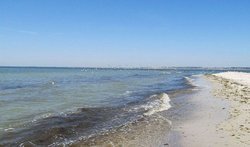 Кинбурнская коса