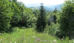 Межгорский перевал